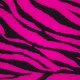 Zebra Fluo Pink